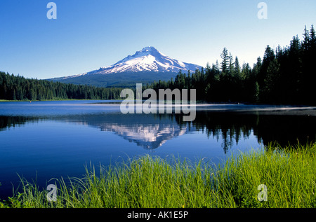 A view of Mount Hood highest peak in Oregon in the Oregon Cascade Mountains over Trillium Lake Stock Photo