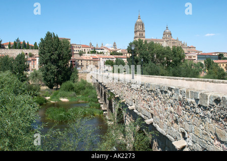 Puente Romano (Roman Bridge) over the River Tormes with the Cathedral behind, Salamanca, Castilla y Leon, Spain Stock Photo
