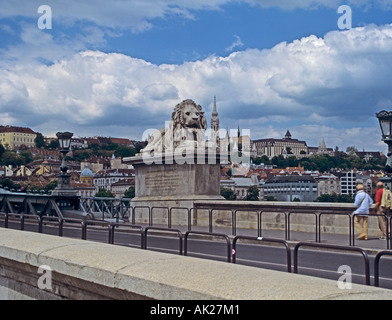 BUDAPEST HUNGARY EUROPE May One of the stone lions guarding the entrance to Szechenyi Lanchio the Chain Bridge over River Danube Stock Photo