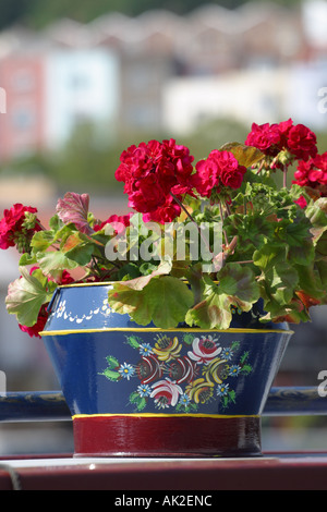 Bristol England geranium flowers in painted  pot on top of canal long boat roof with the Hotwells district behind Stock Photo