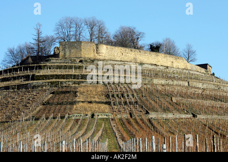 Fortress ruins Weibertreu, Weinsberg Stock Photo