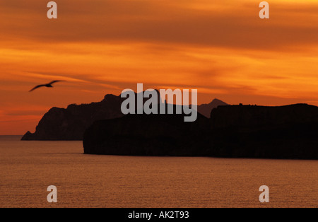 Javea Xabia Sunset at the Cabo de la Nao looking south to Calpe and Morair with a seagull on flight Province Alicante Valencia Stock Photo