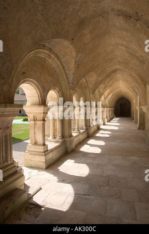 The Cloister, Fontenay Abbey, nr Montbard, Burgundy, France Stock Photo