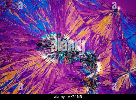Microscopic image. Vitamin C crystals in polarized light. Stock Photo
