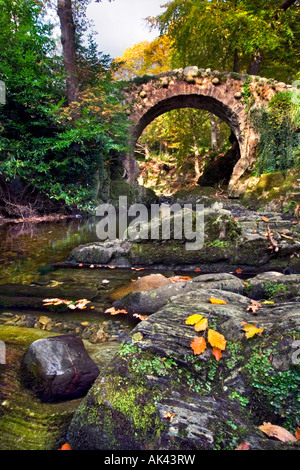Foley's Bridge, Tollymore