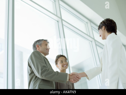 Businesspeople shaking hands Stock Photo