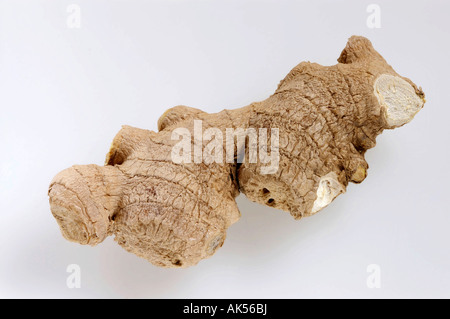 Common Ginger Roots Stock Photo