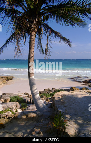 Fishing boats at sunset at Tulum, Quintana Roo State Yucatan Peninsula ...