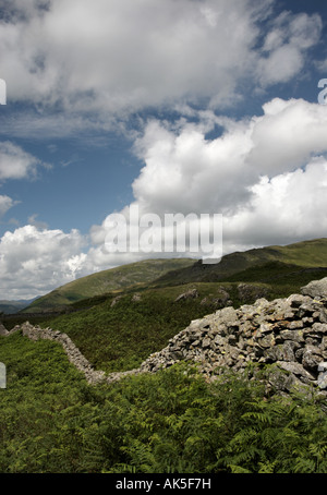 Stone wall on the way to Alcock Tarn near Grasmere Cumbria UK Stock Photo