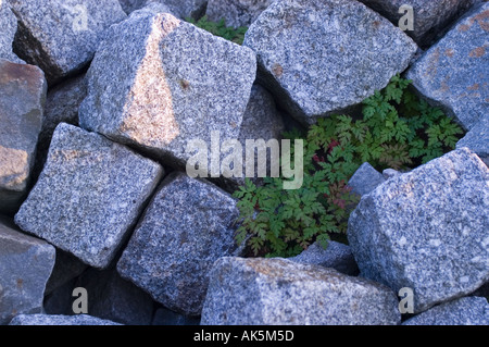 pile of rocks for roadconstruction Stock Photo