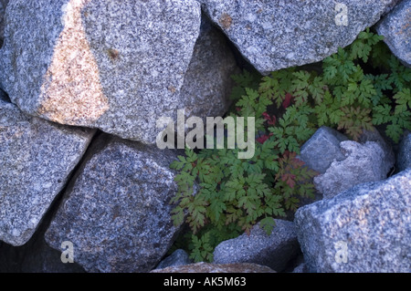 pile of rocks for roadconstruction Stock Photo