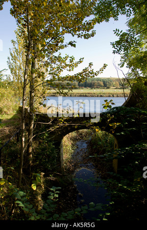 Old boundary wall of Paxton House grounds next to the Tweed with arch crossing a small stream entering the river Stock Photo