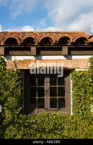 Spanish Style Exterior Wall Covered in Greenery Stock Photo