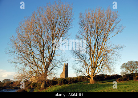 The bell tower of St Mary's abbey (known as the 'Yellow Steeple'),Trim, Co Meath, Ireland. Stock Photo