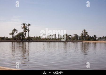 The pool or basin at Menara Gardens Marrakesh, Morocco,Africa. Stock Photo