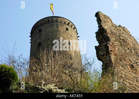 Castle Godesburg / Bad Godesberg Stock Photo