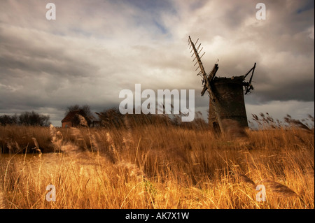 The remains of Brograve Drainage Mill on the Norfolk Broads Stock Photo