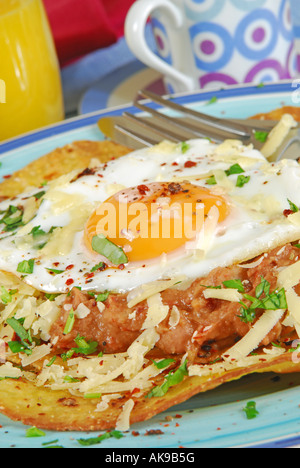 Authentic Mexican breakfast of huevos rancheros: a fried corn tortilla with spicy refried beans, grated cheese and a fried egg. Stock Photo
