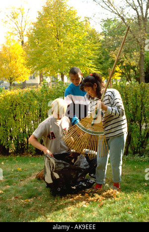 Multicultural friends age 16 raking autumn leaves. St Paul Minnesota USA Stock Photo