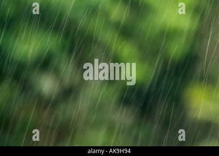 Rain in the Amazon Rainforest Stock Photo