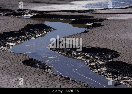 Low tide with water way through mud flats cracked sunny daytime near Sandy Oregon State USA Stock Photo