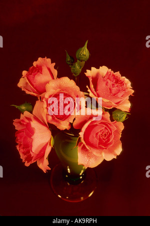 red roses bouquet in vase 'Bonika' shrub artistic vivid colorful flowers flower cut out vertical artistic table top composition Stock Photo