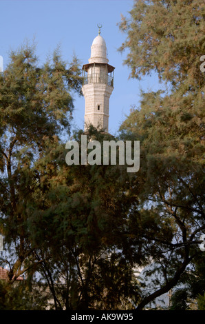 Israel Tel Aviv - Jaffa The turret of the El Baher mosque in old Jaffa as seen through and above the trees August 2005 Stock Photo