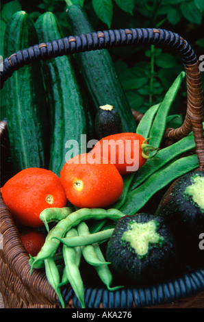 Fresh cut home grown vegetables in a wicker basket Stock Photo
