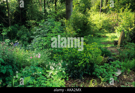 shady woodland garden design Pamela Woods Stock Photo