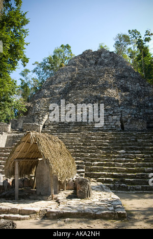 Templo de las Iglesias or Temple of the Church Pyramid and Stele Coba Maya Ruins Quintana Roo Mexico 2007 NR Stock Photo