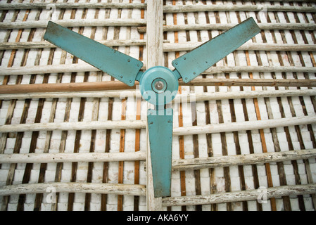 Ceiling fan, low angle view Stock Photo