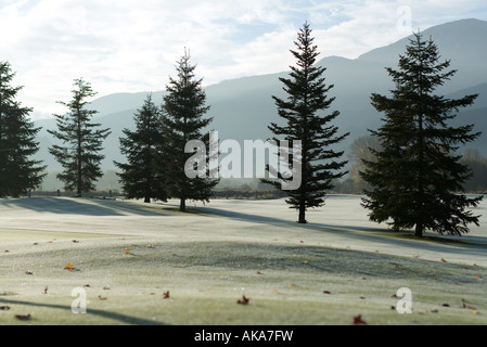 Frost-covered golf course in mountains Stock Photo