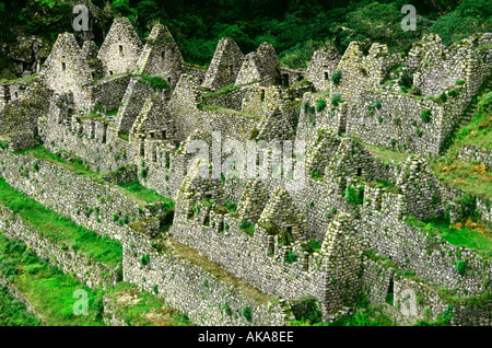 Huinay Huayna ruins. Inca Trail to Machu Picchu. Peru Stock Photo