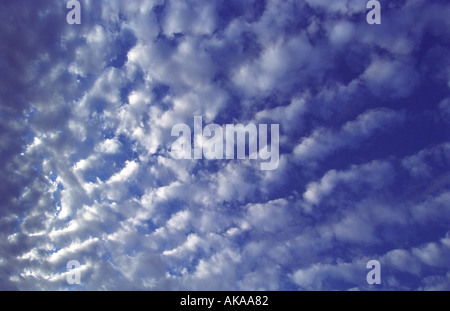 Altocumulus Clouds Stock Photo