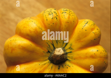 squash Stock Photo