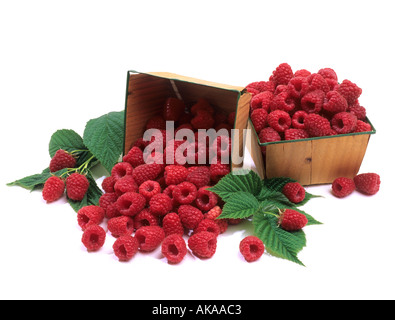 Raspberries Stock Photo