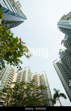 China, Guangdong Province, Guangzhou, high rises and trees in blossom, low angle view Stock Photo