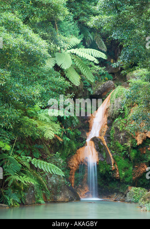 Caldeira Velha waterfall and natural thermal swimming pool on Sao Miguel island in The Azores Stock Photo