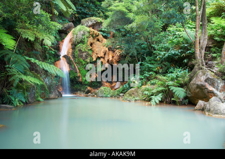 Caldeira Velha waterfall and hot thermal bathing pool on Sao Miguel island in The Azores Stock Photo