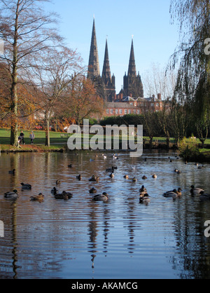 Lichfield Cathedral seen from Beacon Park Lichfield Staffordshire England The cathedral is reflected in the park pool Stock Photo