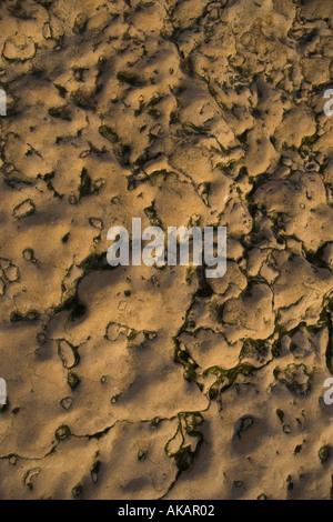Rock Texture Hunstanton Norfolk England UK Stock Photo - Alamy