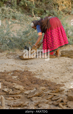 Rabari woman wearing her everyday dress and jewellery. Gujarat. Rann of Kutch. SW INDIA Stock Photo