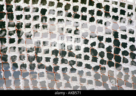 Snow laden chicken wire creates an abstract grid in the foreground of a winter landscape  Stock Photo