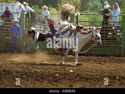 Rodeo competitor falling off bronco Stock Photo