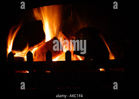 Log fire blazing in stove Stock Photo