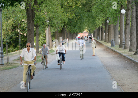 Bicycles are the preferred mode of transport around Lucca s tree lined medieval walls Tuscany Italy Stock Photo