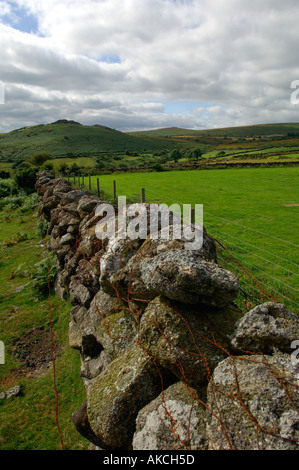 Dry stone wall and barbed wire fence on Dartmoor Stock Photo