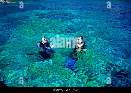 Two people scuba diving off the coast of St Lucia in the Caribbean. Stock Photo