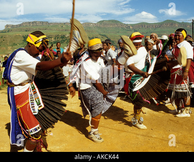 A crowd of Zulu men do traditional dancing and singing during the Tembe ...