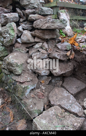 Dry stone wall construction. Repairs between old and new sections Stock Photo
